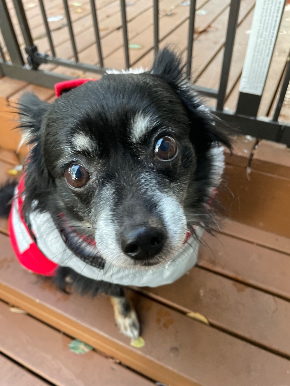 Meet your Posher, Katherine